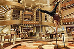Enchanted Princess Gallery Image